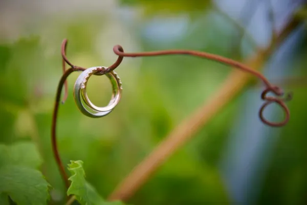 Hochzeit 0021